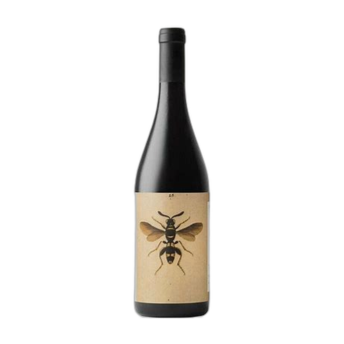 Sangiovese di Romagna Predappio 2022, Noelia Ricci